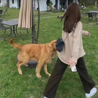 疯狂暴警